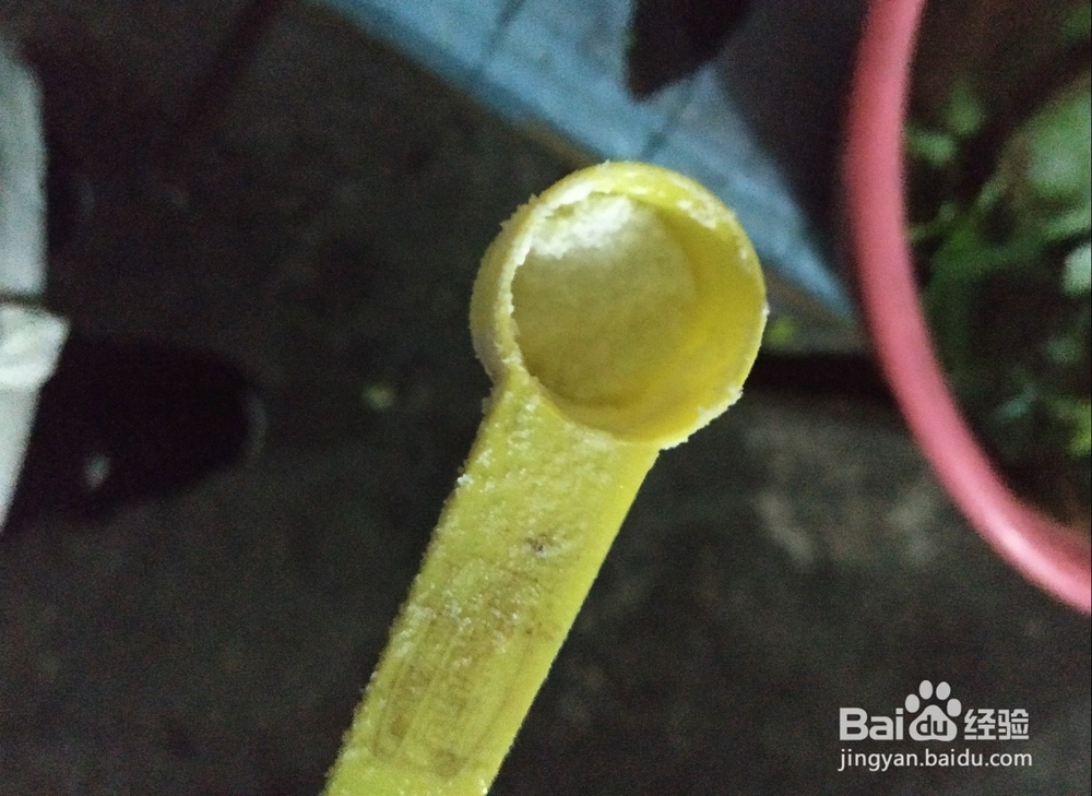 美味的青菜土豆饼