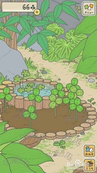 旅行青蛙四叶草攻略