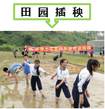 菜博士农场亲子活动方案