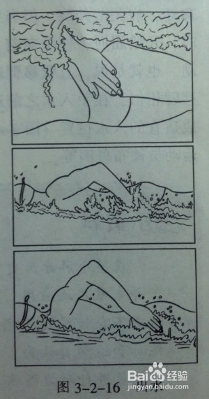 快速掌握游泳技巧：[2]学自由泳的诀窍