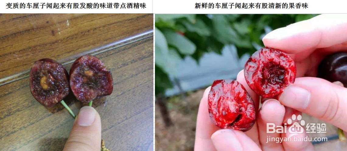 车厘子怎么看好坏