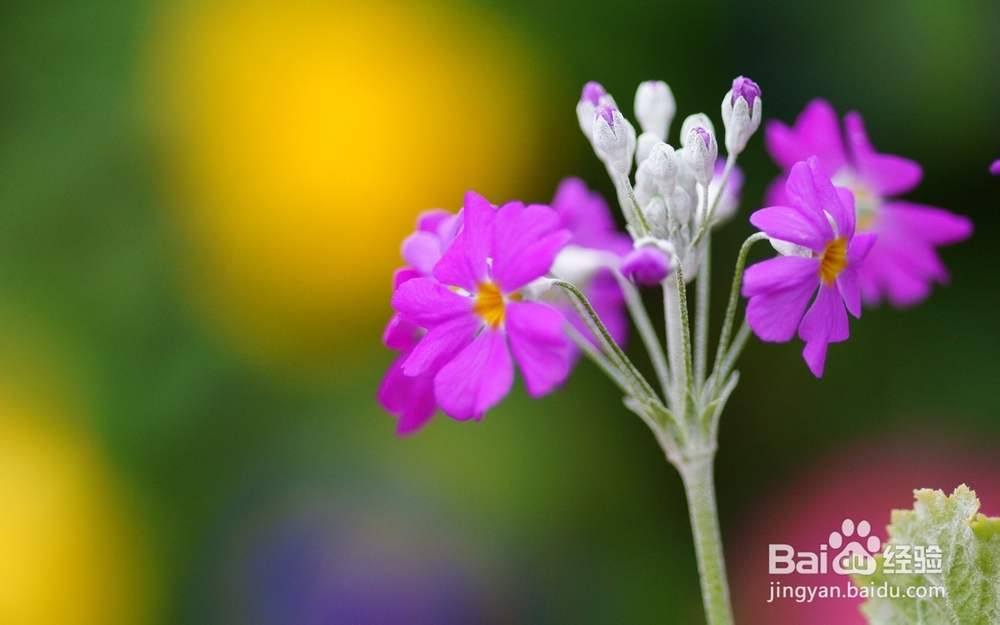 经济信息资源开发与利用：[25]复习总结二十五