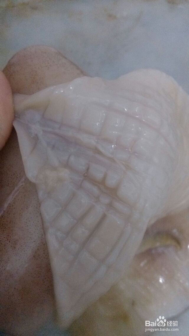 鱿鱼切花怎么做鱿鱼切花形技巧