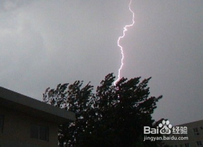 捕捉野生龙虾的实用技巧