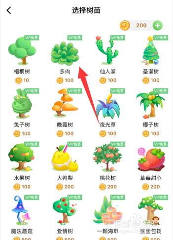打卡森林app如何更改树苗的种植