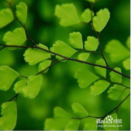 应该如何保护好自己的眼睛