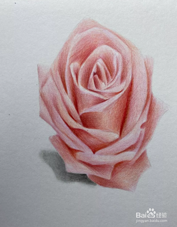 情人节用玫瑰”画“送女票....