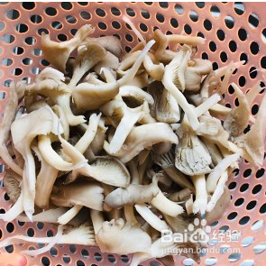 椒盐蘑菇-超好吃的下酒菜