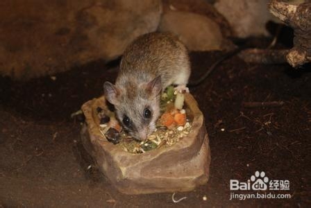 走夜路要注意什么怎样消除恐惧感