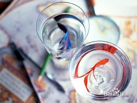 鱼之记忆——7秒的感想