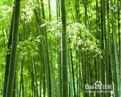 本色卫生纸更健康吗