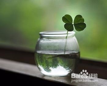 培养快速阅读习惯