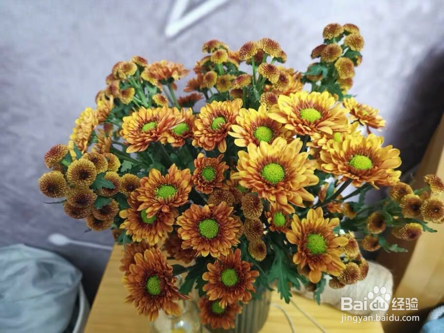 你知道适合春天播种的花有哪些吗