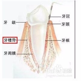 做牙齿整形拔牙好吗
