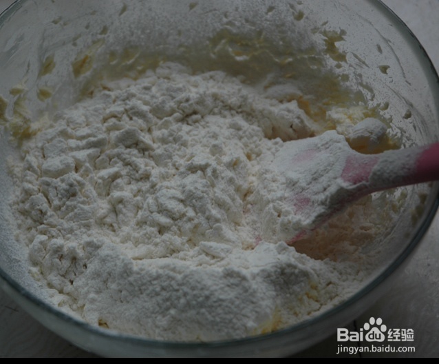 营养美味的饼干底胚