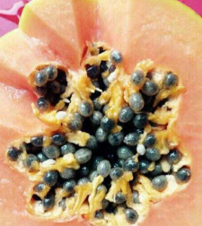 如何做红枣木瓜炖奶