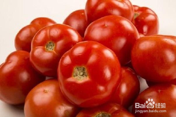 如何种植西红柿?