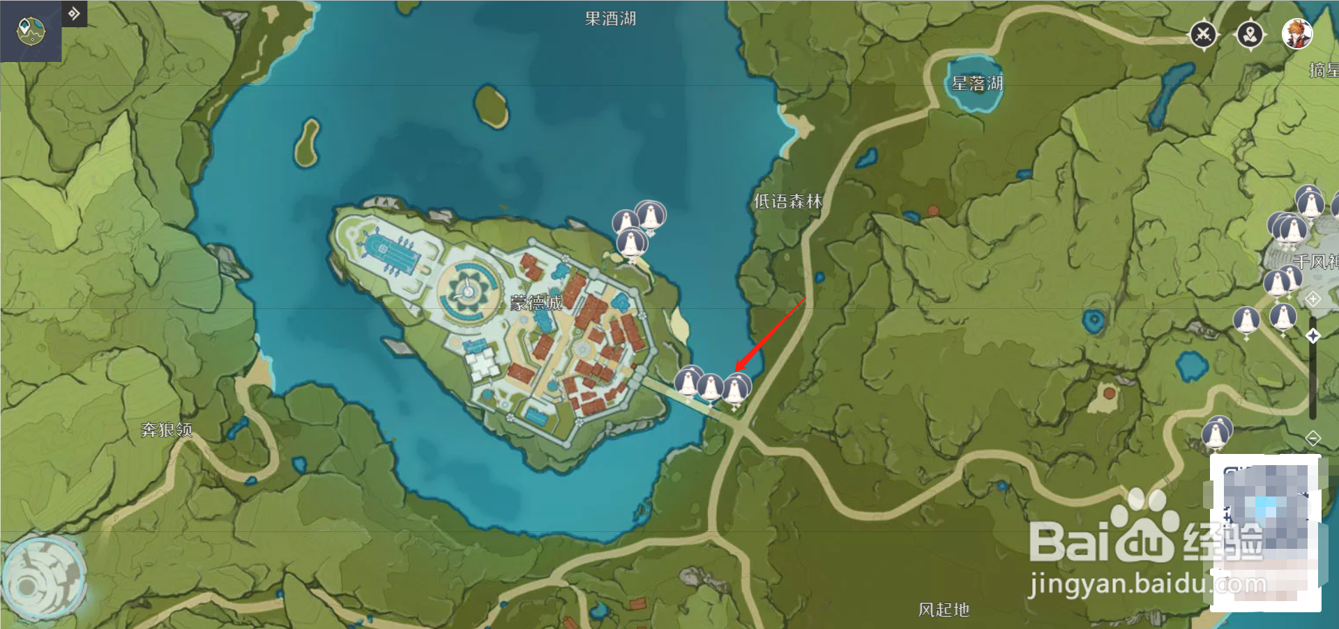 原神白鸽分布攻略