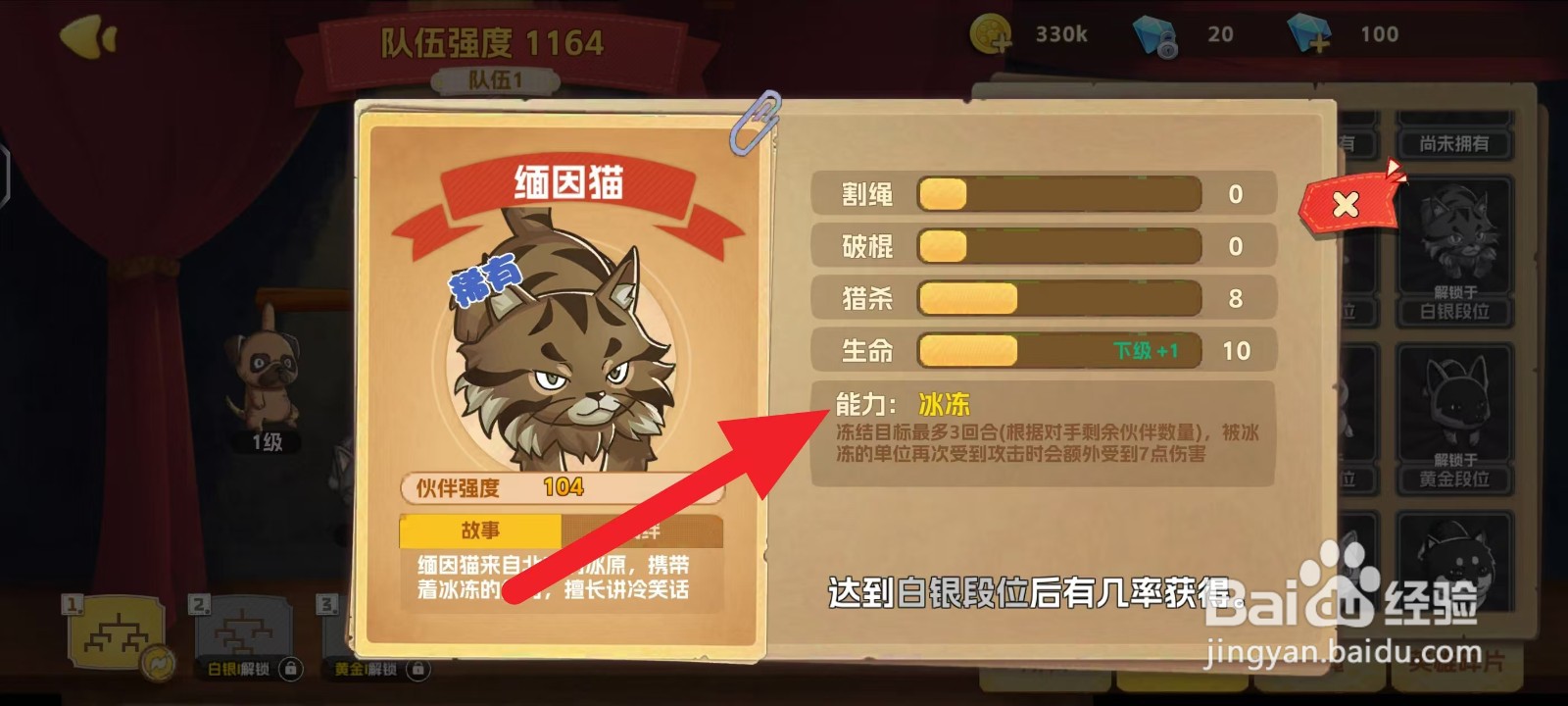 狗狗呼叫喵星如何查看缅因猫的能力?