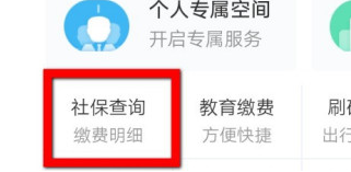 如何查询支付宝社保缴费记录