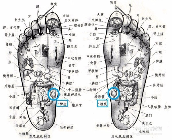 因为流感，呼吸道感染怎么办？