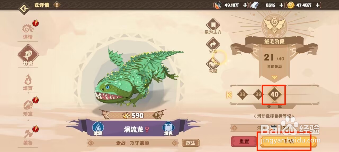 驯龙高手旅程涡流龙怎么升到40级？