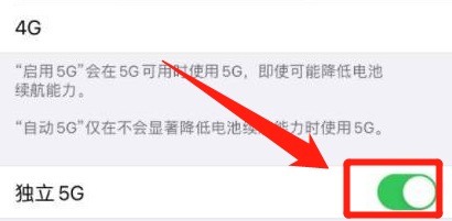 苹果手机独立5G怎么打开