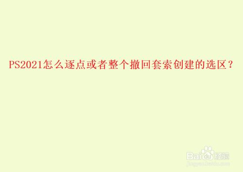 PS2021怎么逐点或者整个撤回套索创建的选区