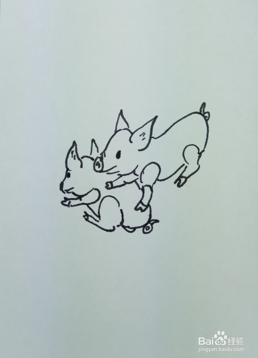 怎样画简笔画“爱嬉戏玩耍的小猪”