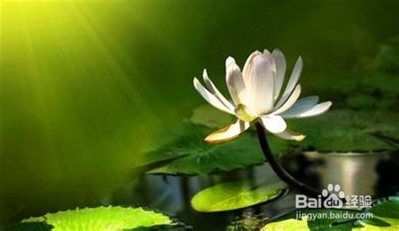 写给朋友们的十句话