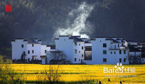 国内最美赏花地