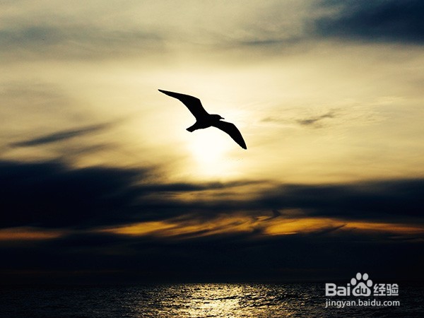 教你专业摄影不用昂贵相机也能照出专业照片