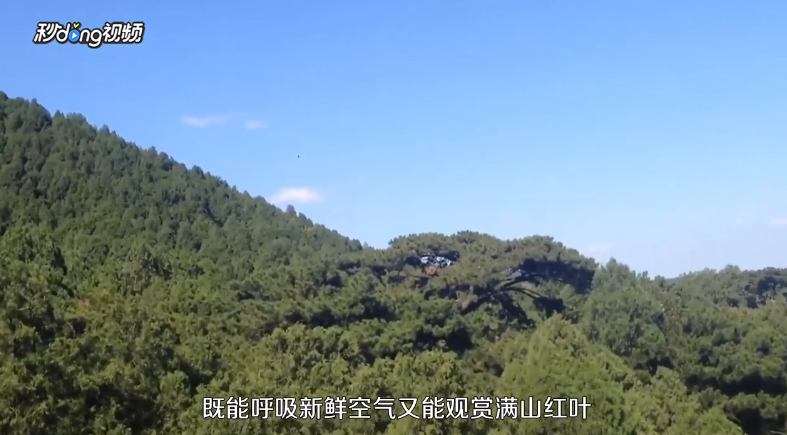 北京秋天去哪玩