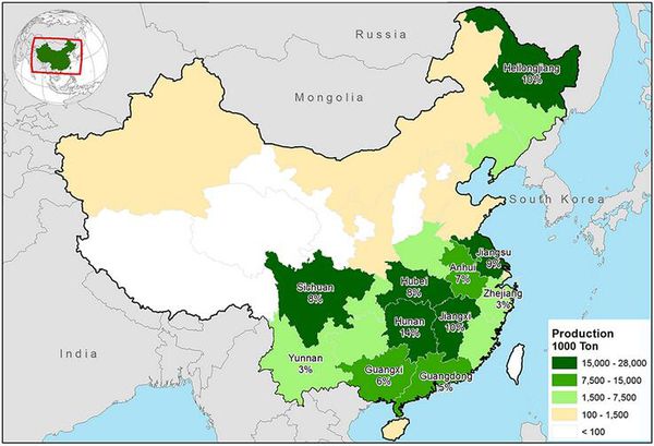中国主要的粮食产地分布在哪里