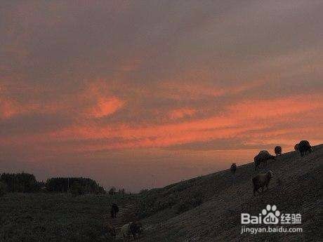 有哪些方便出行的软件?