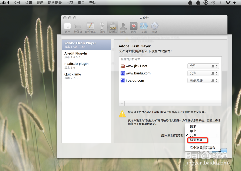 怎样解决mac中adobe flash老是过期的问题