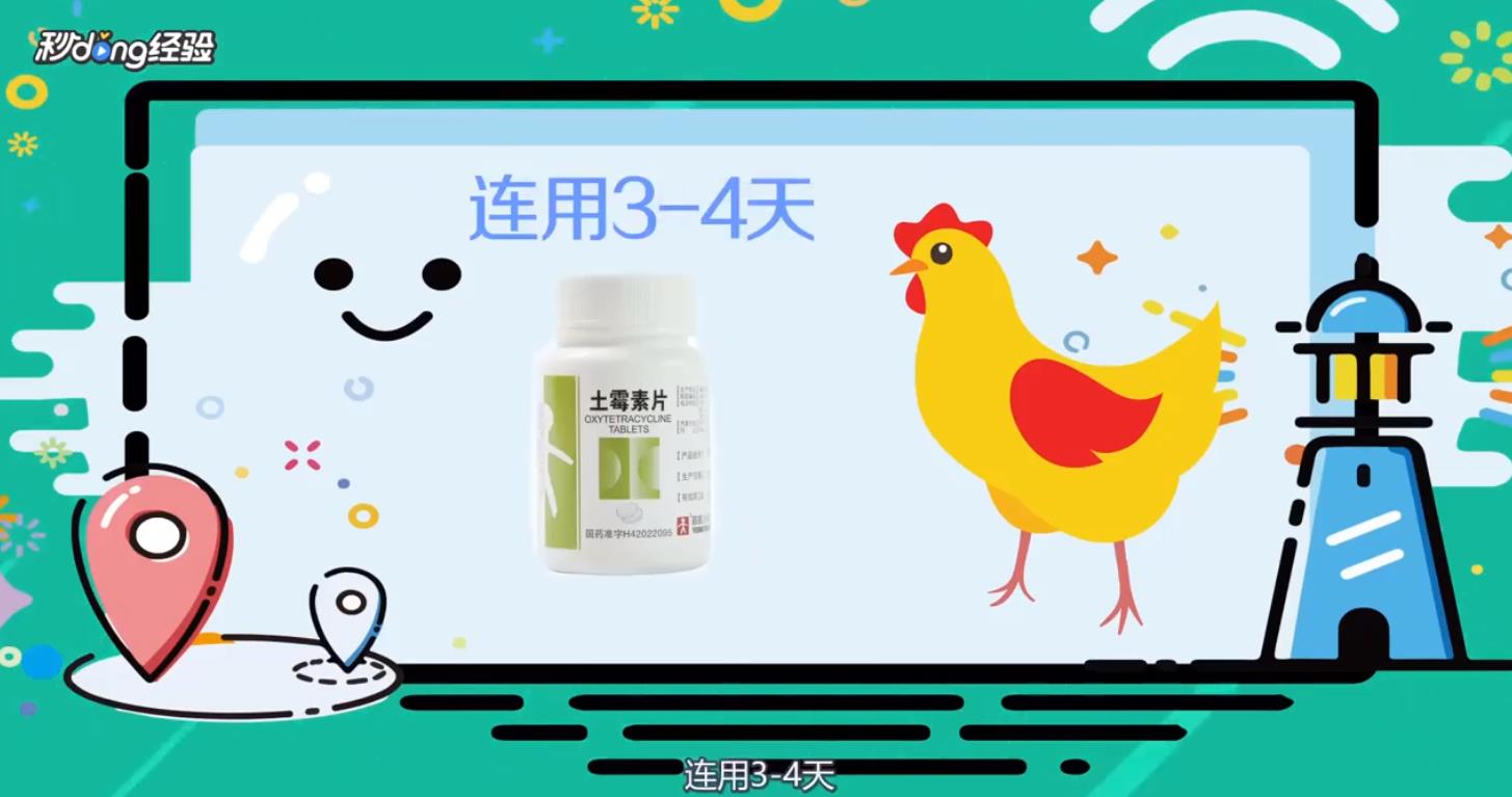 如何救活快死的小鸡呢