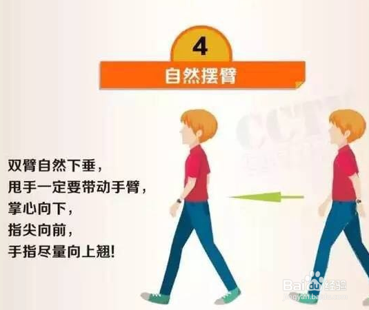 不伤膝盖的走步方法