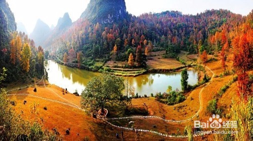 写作的一些心得