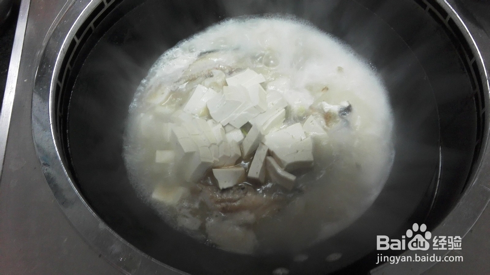 家常菜1鱼头豆腐汤的做法