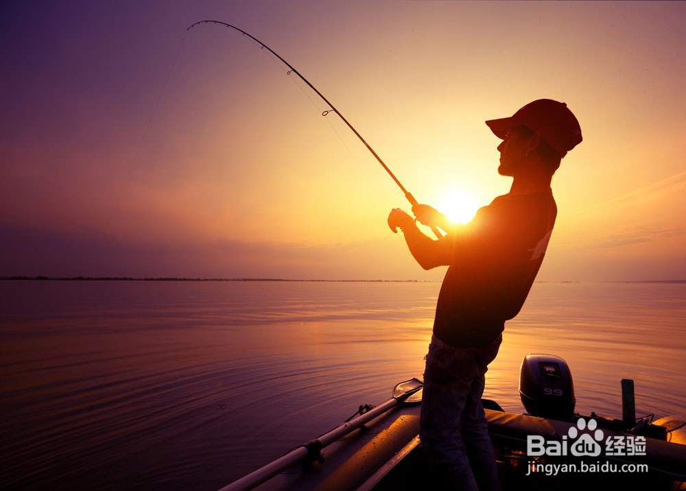 夏季钓鱼技术