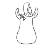 简笔画斑马应该怎么绘画？