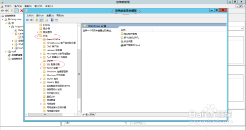 Windows编辑内置的域控组策略计算机SSL配置设置