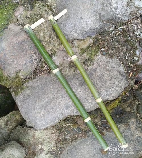 树洞取球的各种方法