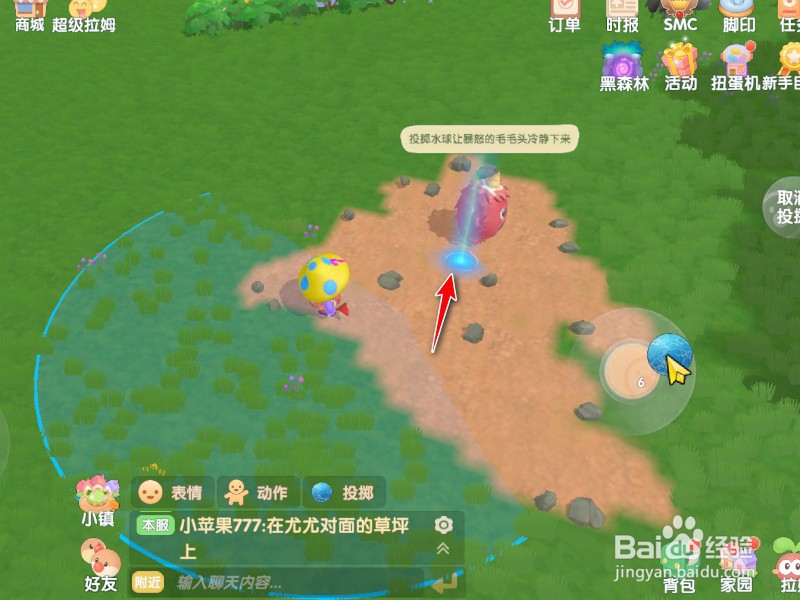 摩尔庄园水球怎么用