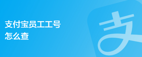 支付宝员工工号怎么查
