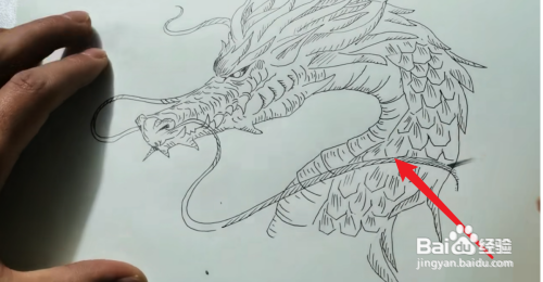 中国龙怎么画简单漂亮又霸气