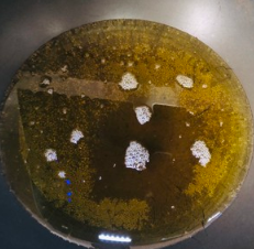 椒盐蘑菇-超好吃的下酒菜