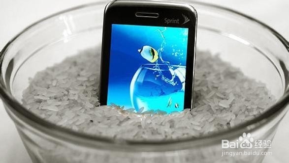 手机进水怎么办