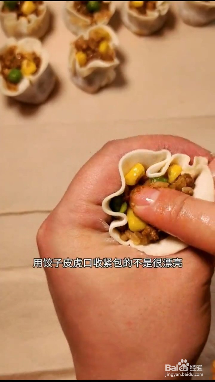 怎样在家正确自制美味可口的烧麦